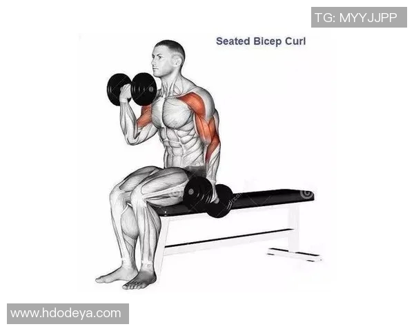 哑铃锻炼手臂的有效方法与技巧分享让你的手臂更强壮更有型