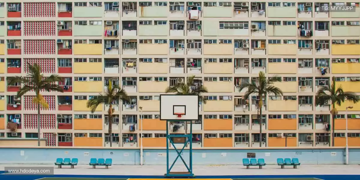 🎙️深度解读，冠军之路！🏆揭秘赛场背后的热血与汗水！